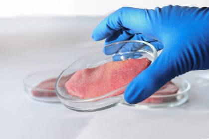 hand holding lab gown meat in a Petri dish. Meat in glass dish